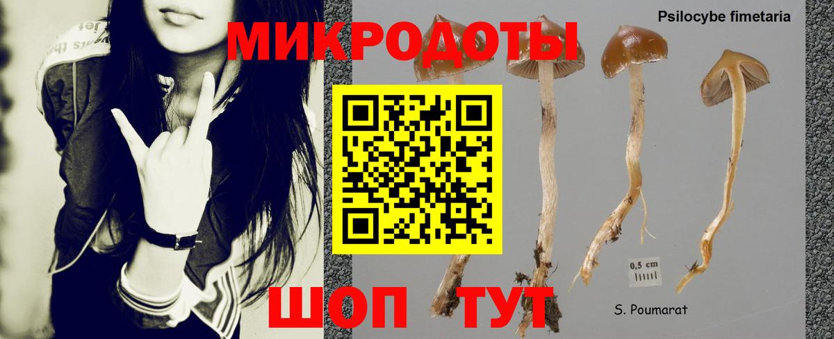 Галлюциногенные грибы мицелий  Вход с VPN  Каменск-Шахтинский  Галлюциногенные грибы GOLDEN TEACHER 